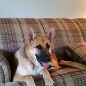 Meet your Posher, Carol